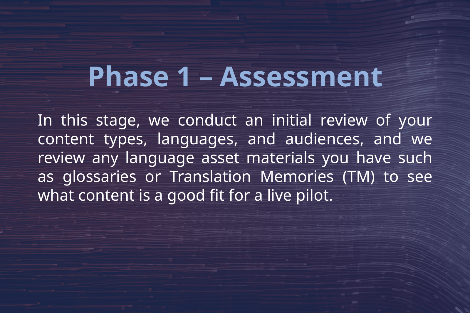 AI Pilot Phases-2